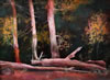 Jackson Hensley Gallery: Image